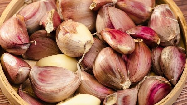 紫皮蒜