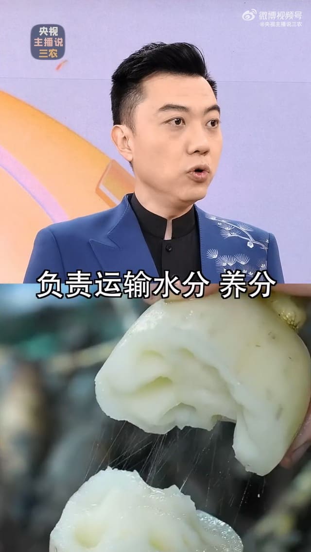 中国莲藕产业与湖北洪湖