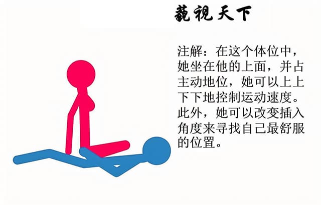 俯视天下，优雅与力量的结合