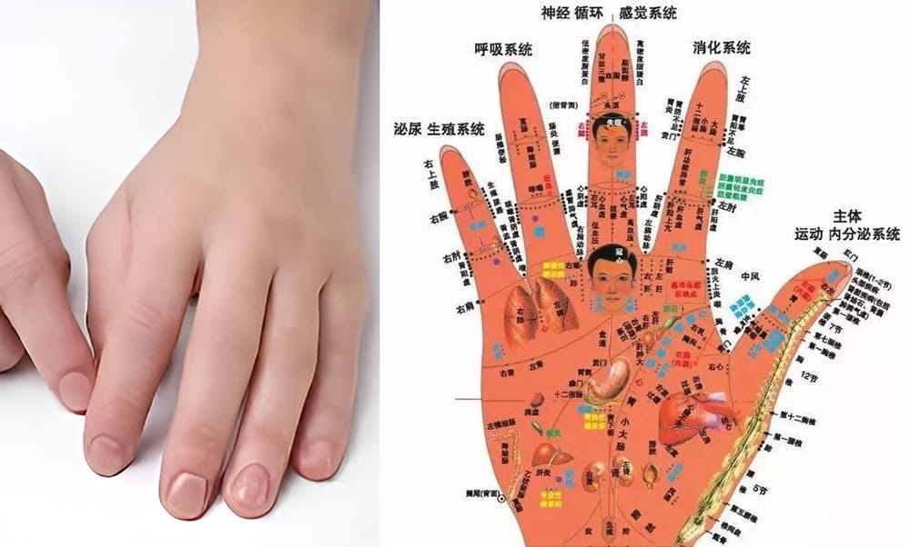 手背上的痣详解及含义