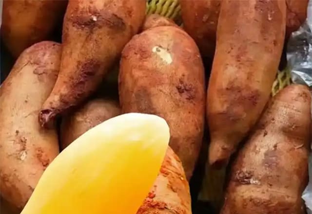 雪莲果果皮与去皮后果肉的对比图