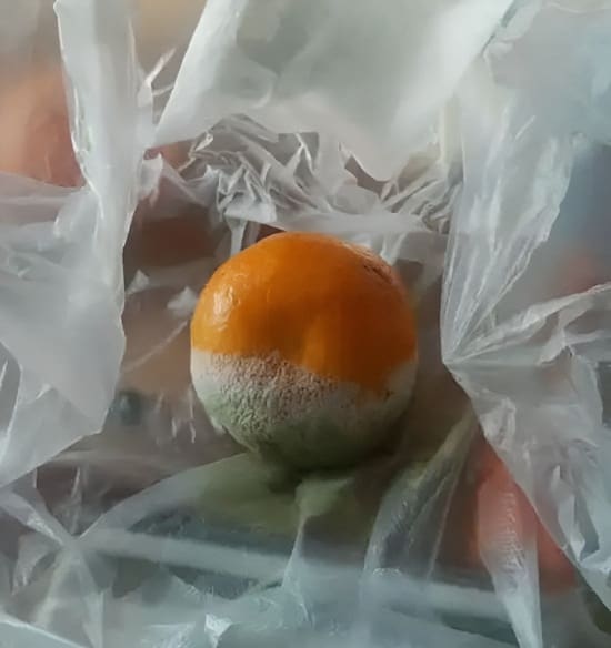 腐烂霉变的橘子