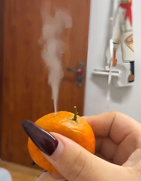 橘子冒烟图片