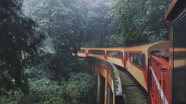 2025年全球最值得一游的52个旅行目的地台湾阿里山(中国)