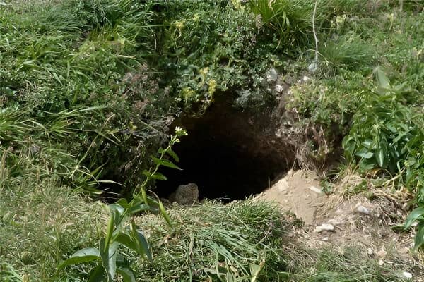 梦见挖洞代表什么?详解梦境含义