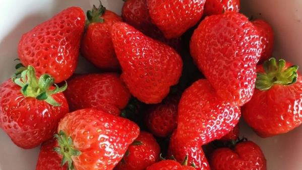 草莓的健康益处