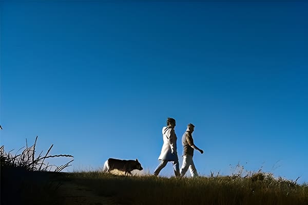 梦见散步的象征意义