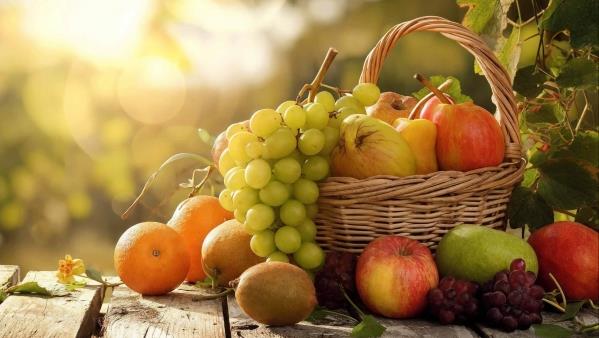 热带水果菠萝、芒果、榴莲与荔枝