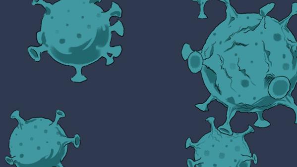 布氏杆菌动物检疫