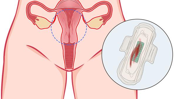 月经期可以吃车厘子