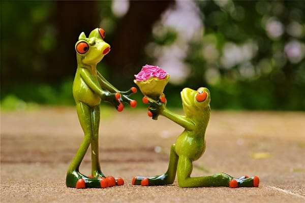 梦见求婚说明,未婚吉已婚凶