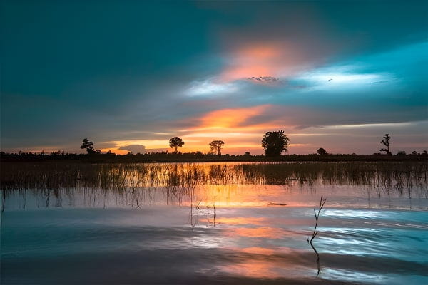 梦见田地被淹的梦境说明