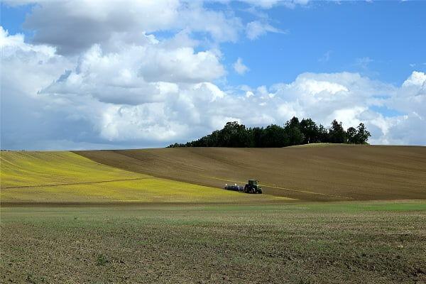 梦见田野和田园风光的象征意义