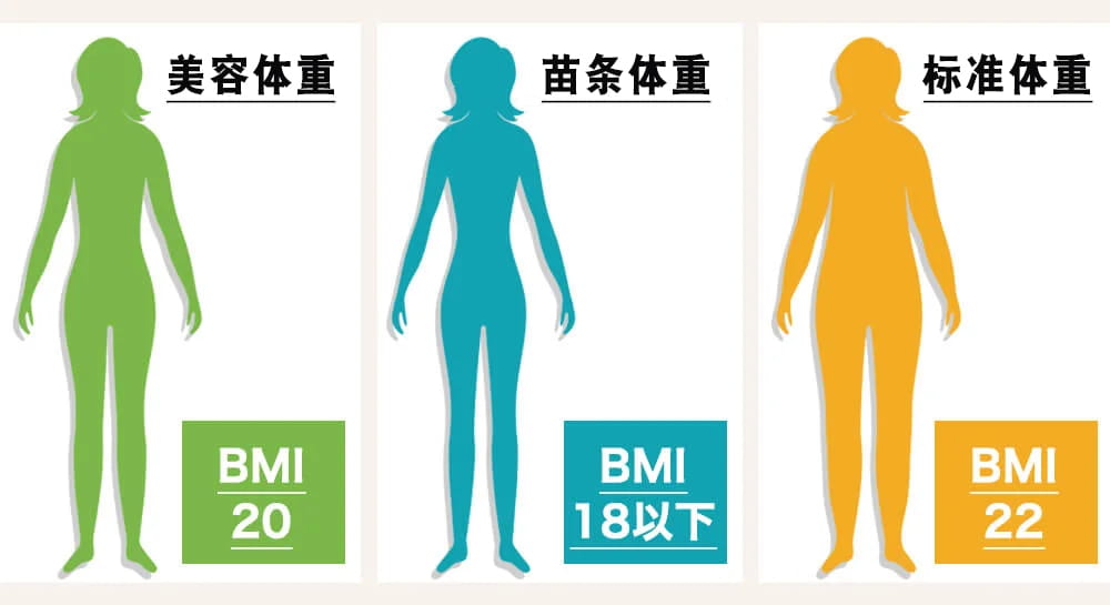BMI指标对应的身材类型