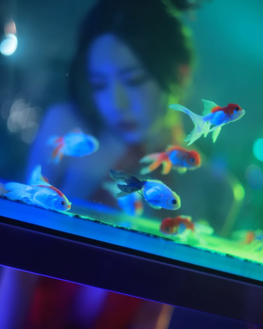 性感红色服饰，展示火辣身材