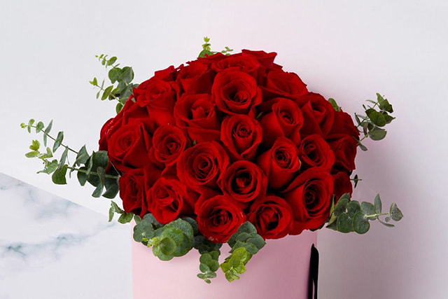红玫瑰的象征意义