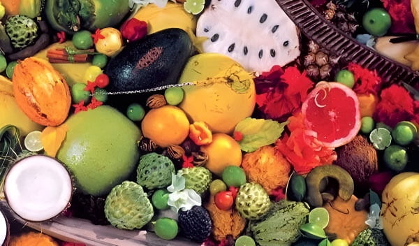 水果种类汇总展示