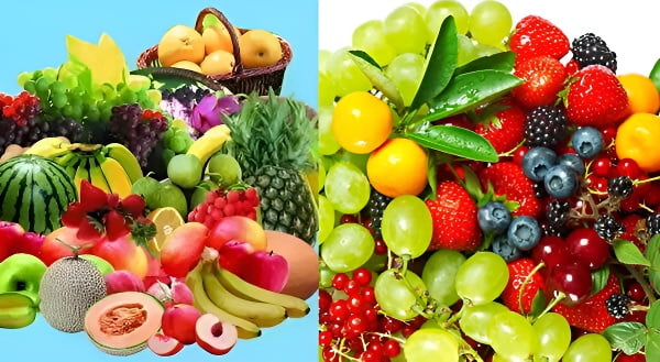 浆果类水果展示