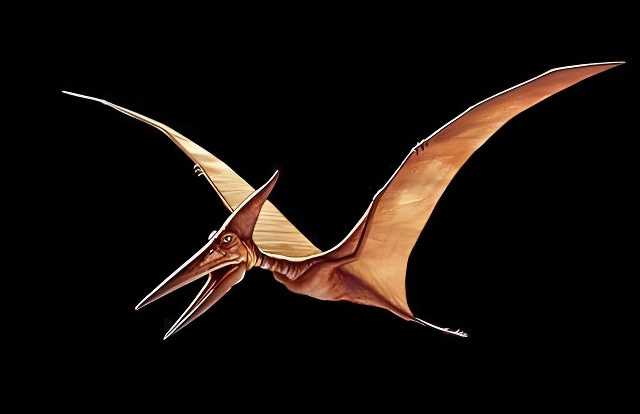 翼手龙