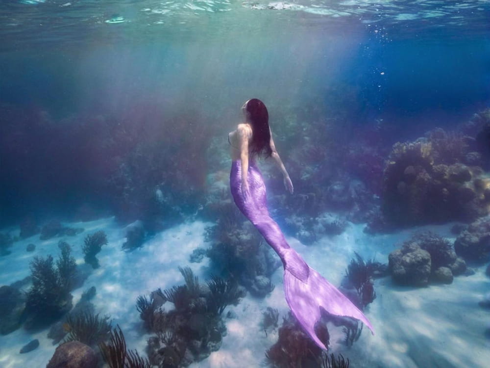 神秘美人鱼梦境解读