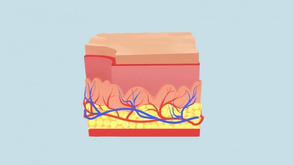 红曲糯米酒有助于抗氧化