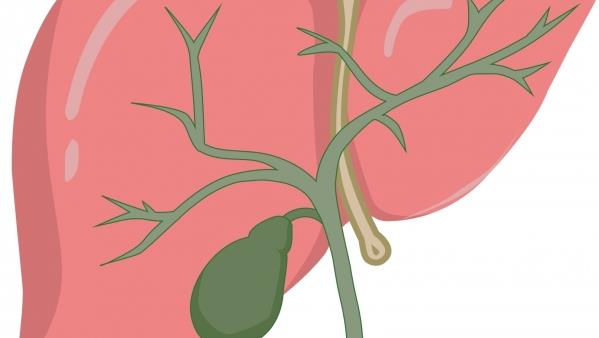 变质糯米酒的危害