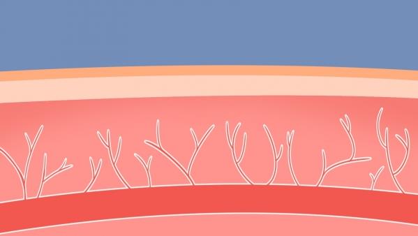 糯米酒煮鸡蛋促进血液循环