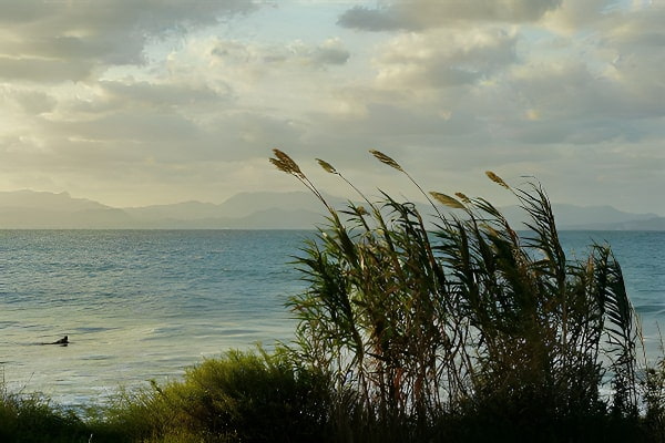 狂风大作梦境说明