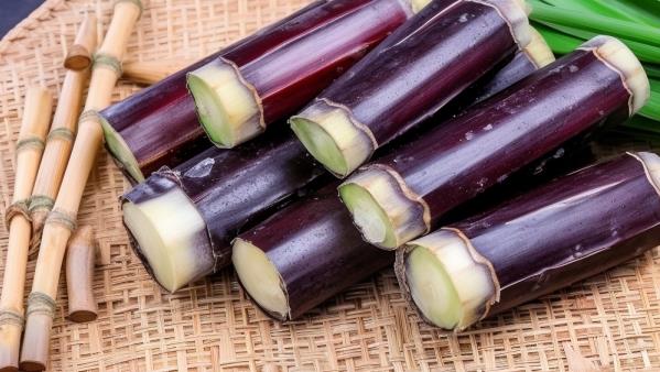 减肥期间饮食建议