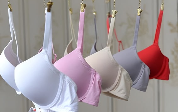 女性胸罩示意图