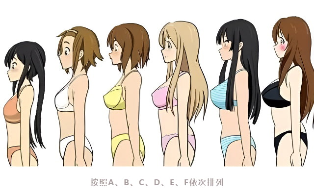 女性胸围对照图