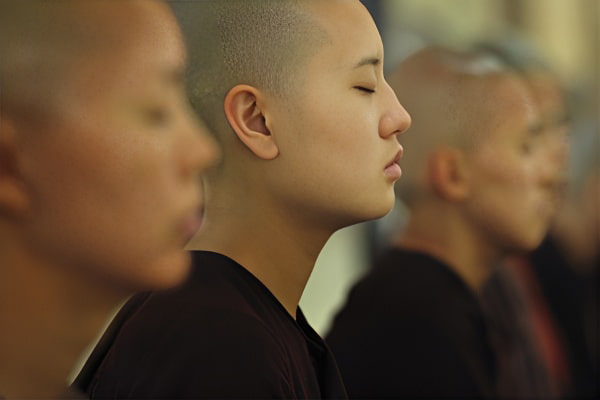 女出家人梦境说明图