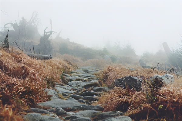 曲折山路梦境说明图示