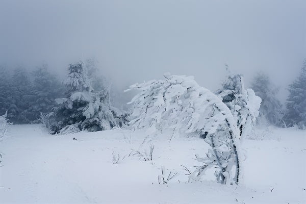 梦见暴风雪象征内心孤独