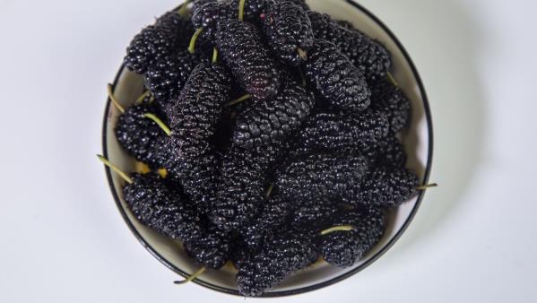 新鲜成熟的桑葚