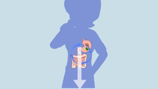 新鲜桑葚的近景拍摄