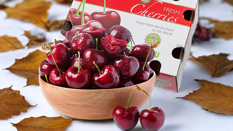 智利空运JJJ级车厘子礼盒