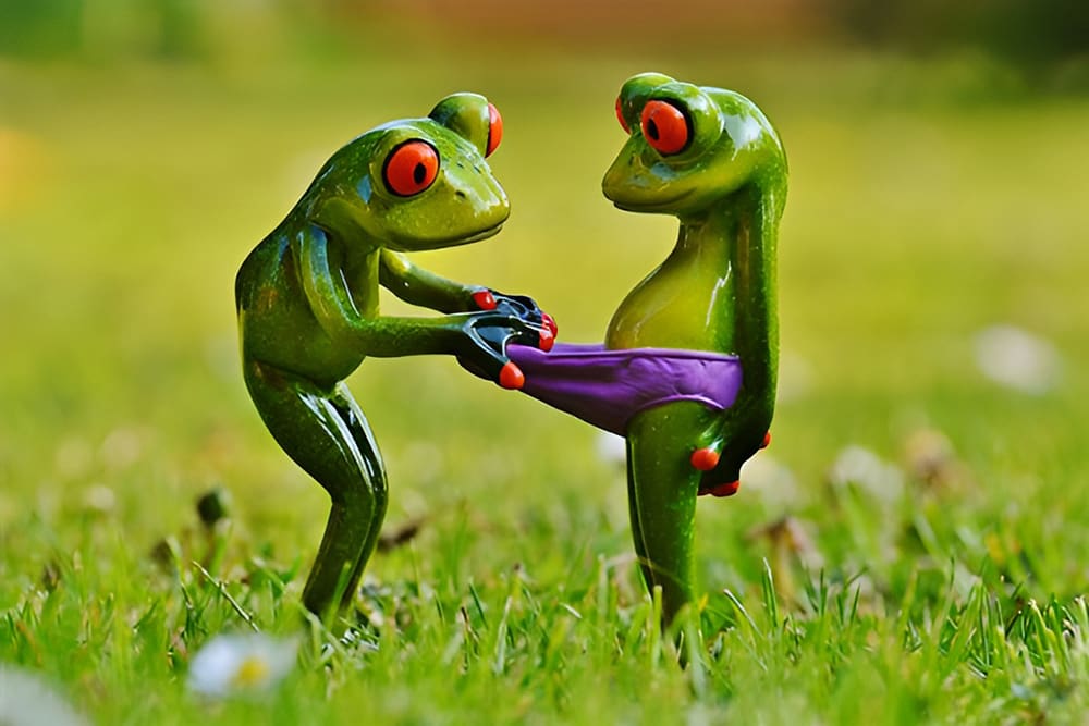 梦见内裤的象征意义及心理学解读