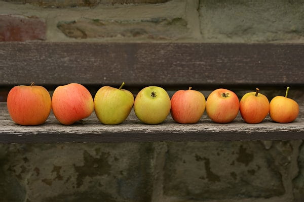 梦见排队意味着什么