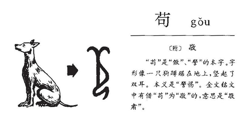 姓苟正确读音及含义解析图