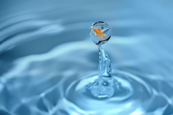 梦见天上掉鱼暗示突如其来的机遇