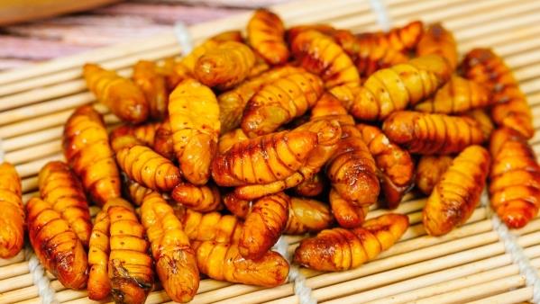 健康饮食搭配示意图