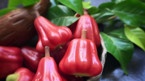 莲雾排骨汤温润滋养