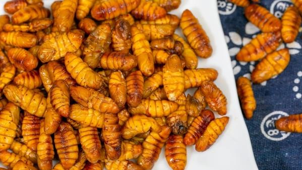 增强体质的食材