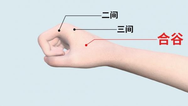 合谷穴艾灸和贴敷方法