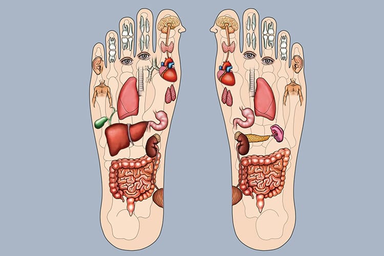 脚底五脏六腑反射区示意图1