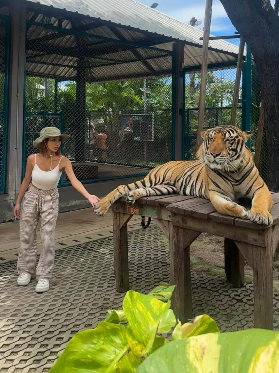 叶月绫的迷人身姿，展现着无与伦比的美