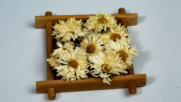 野菊花外用图片