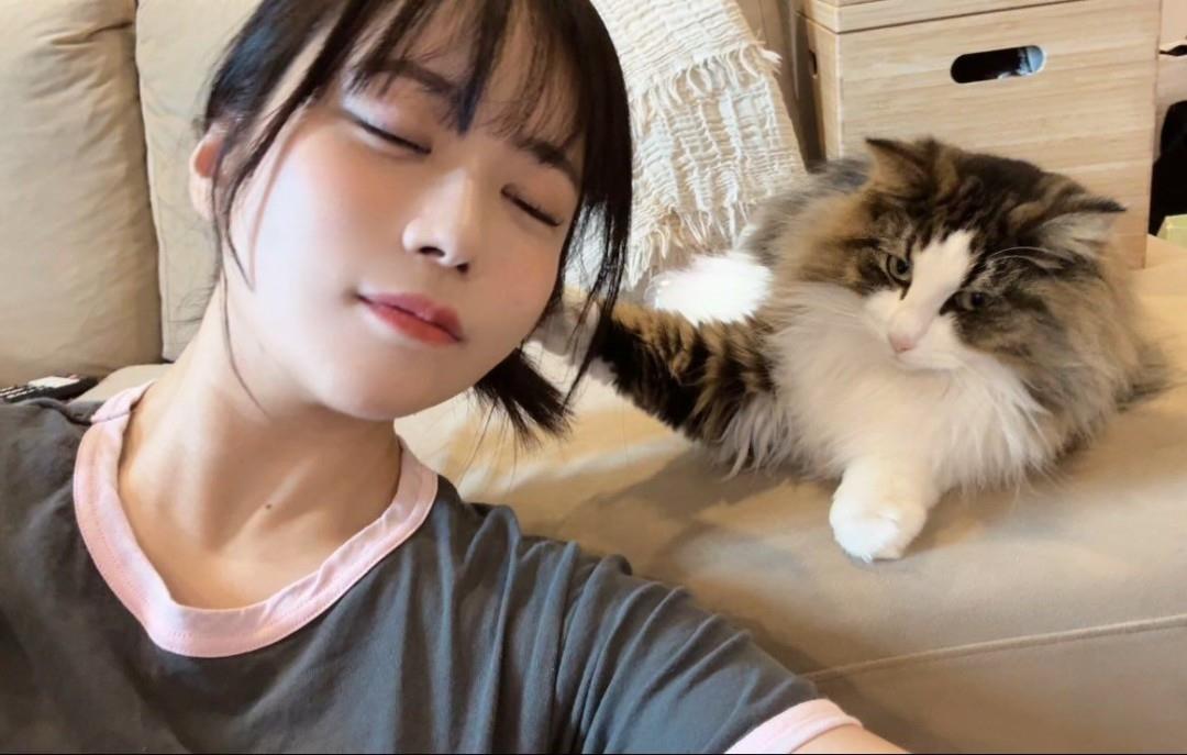 东云海曲线可爱迷人